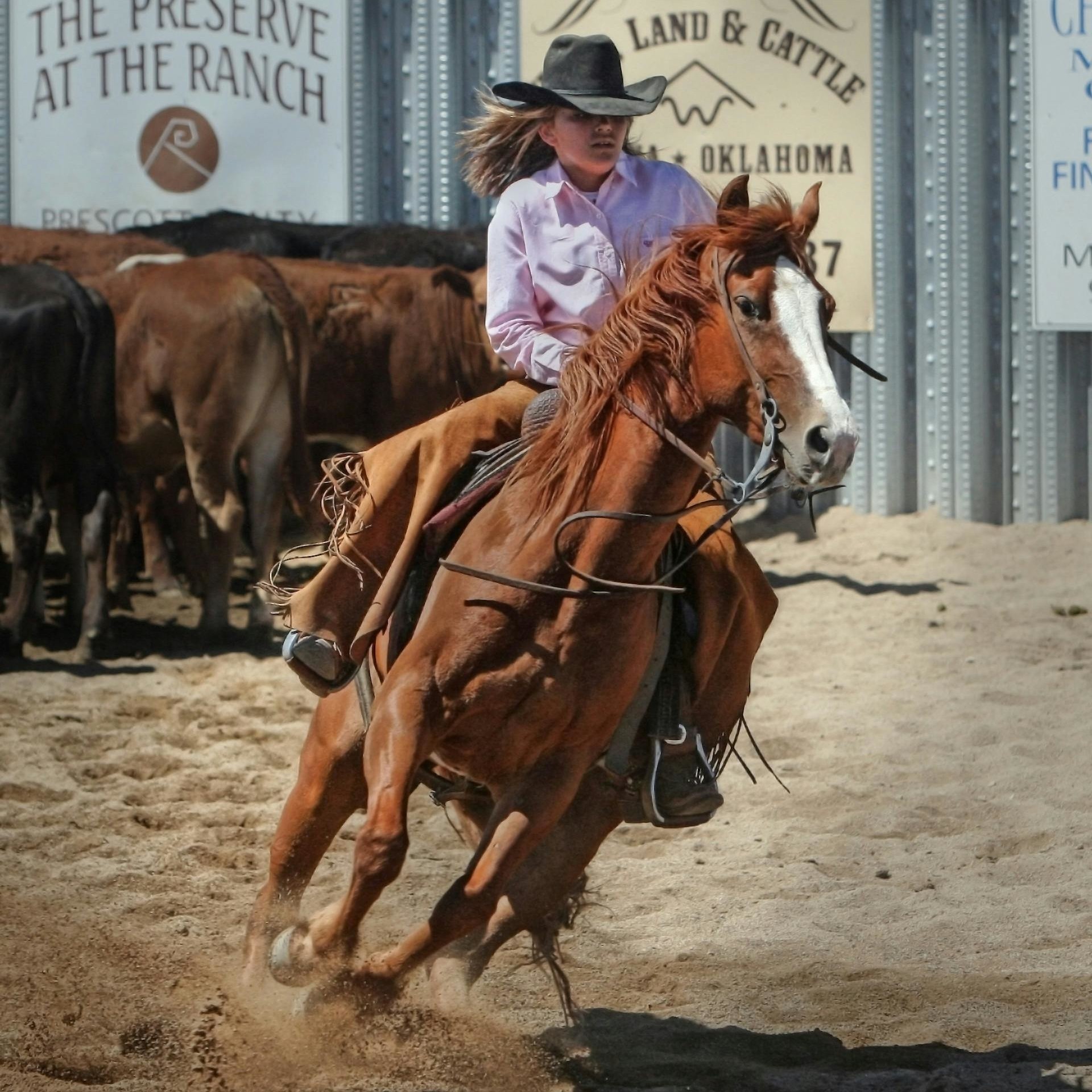 Amerikanisches Reiten