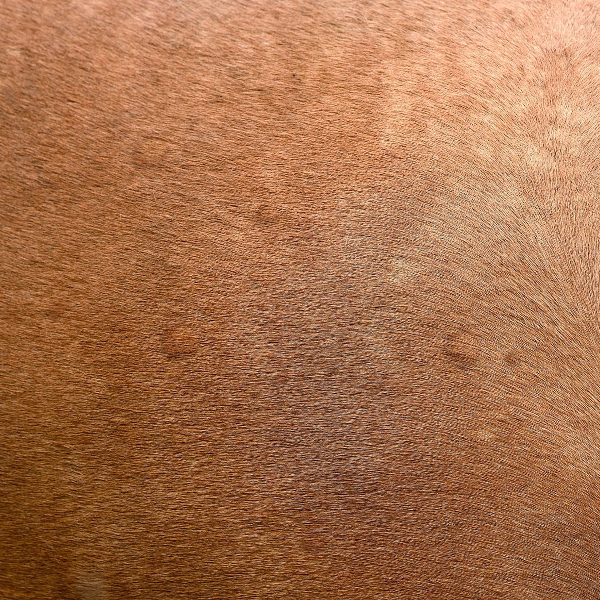 Dermatitis