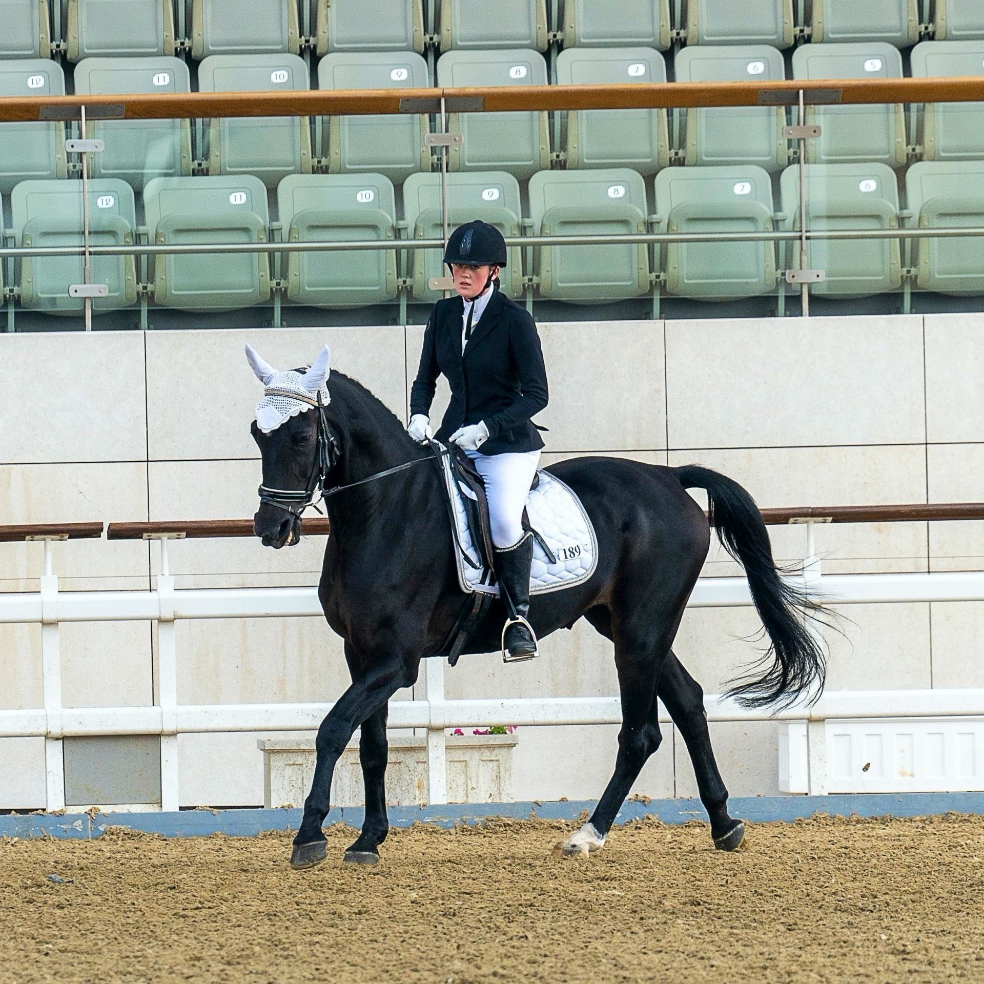 Dressage