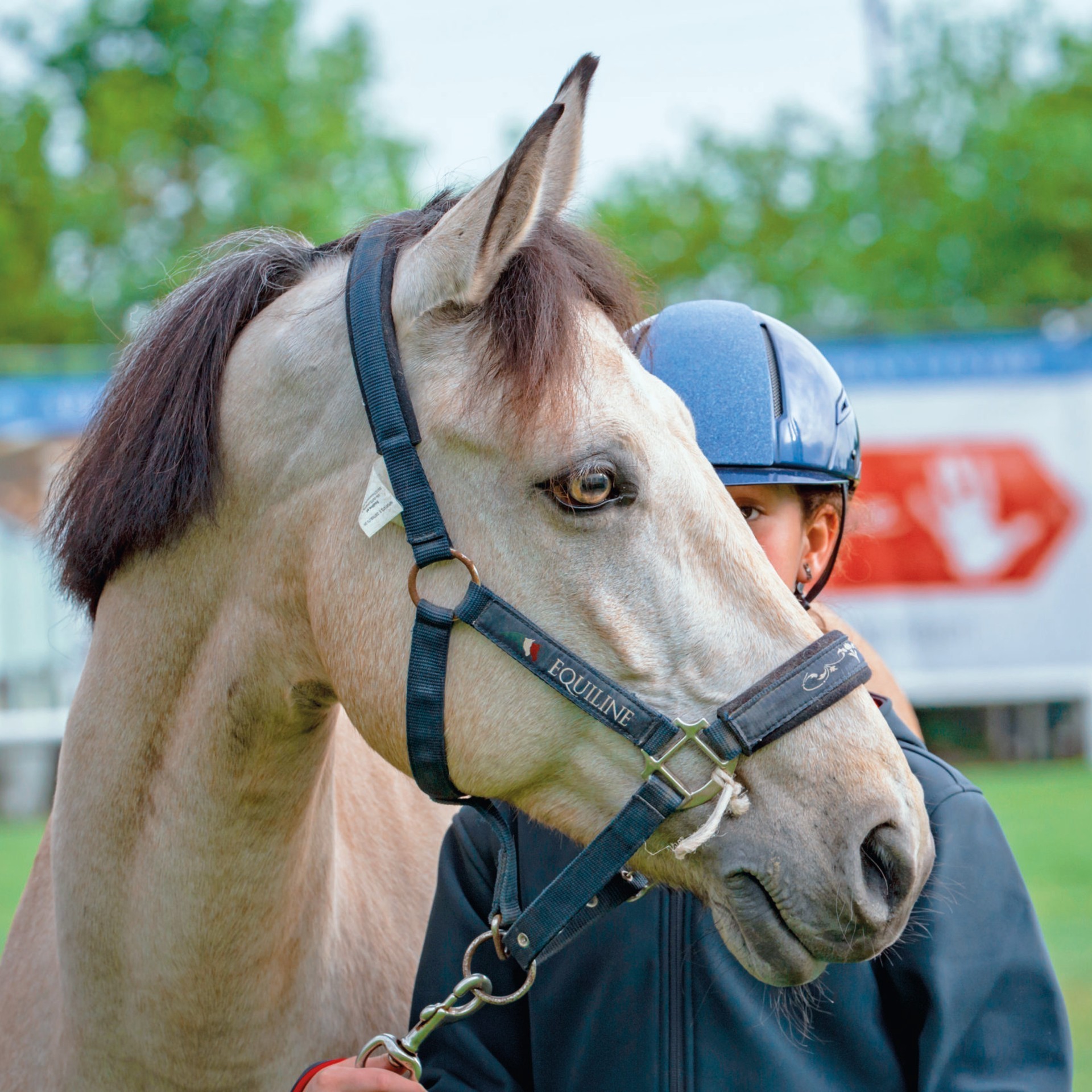 Sportliche Verfassung