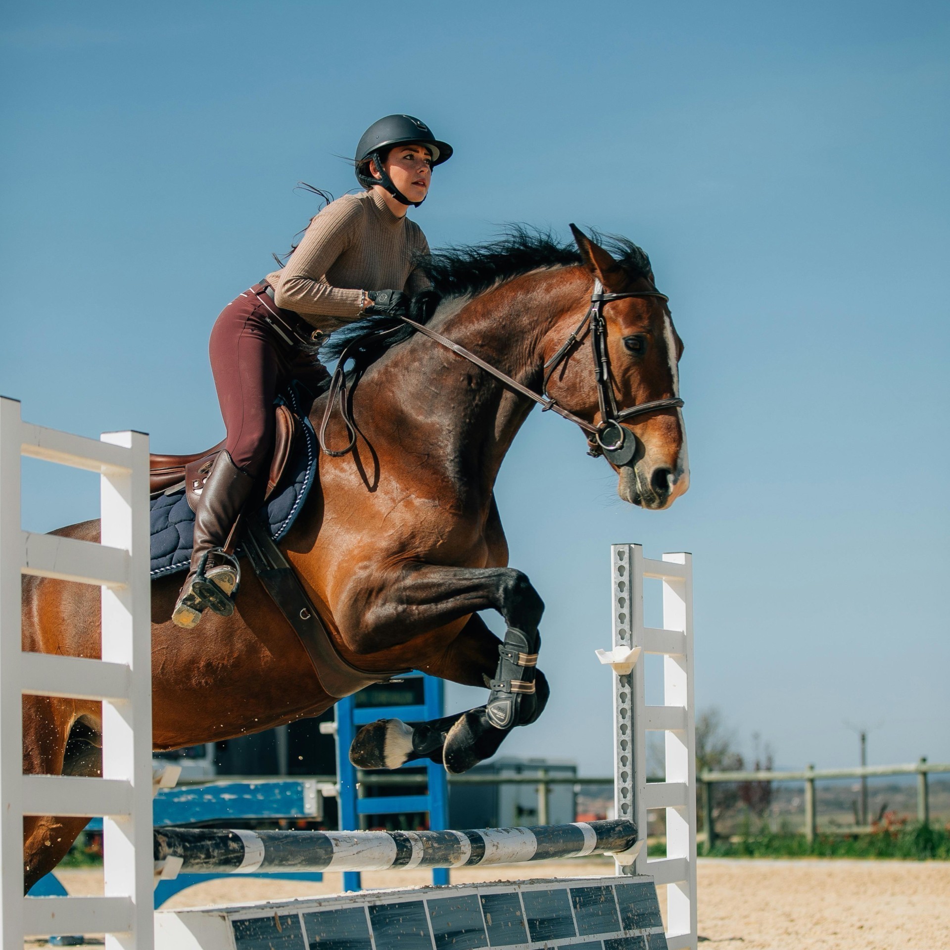 Springreiten